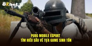 Pubg Mobile Esport - Tìm Hiểu Sâu Về Tựa Game Sinh Tồn