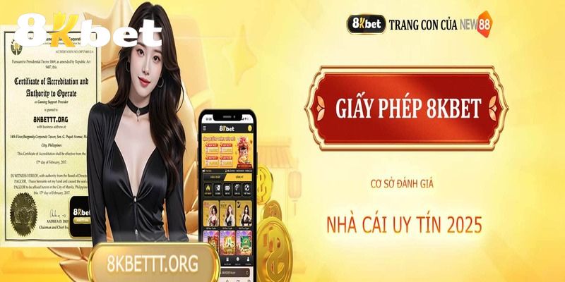 Cái nhìn rõ nét về giấy phép hoạt động
