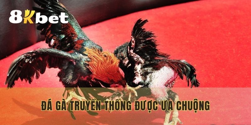 Đá gà truyền thống được khá nhiều người ưa chuộng