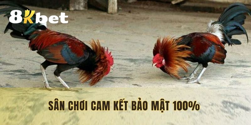 Sân chơi cam kết bảo mật 100% cho cược thủ