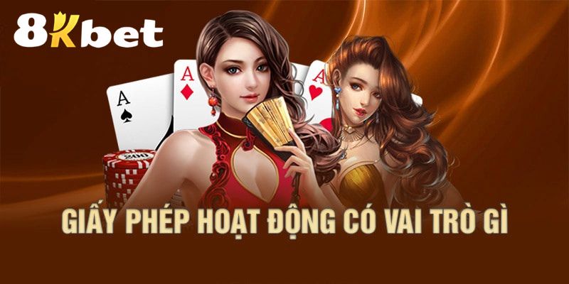 Vai trò của giấy phép hoạt động
